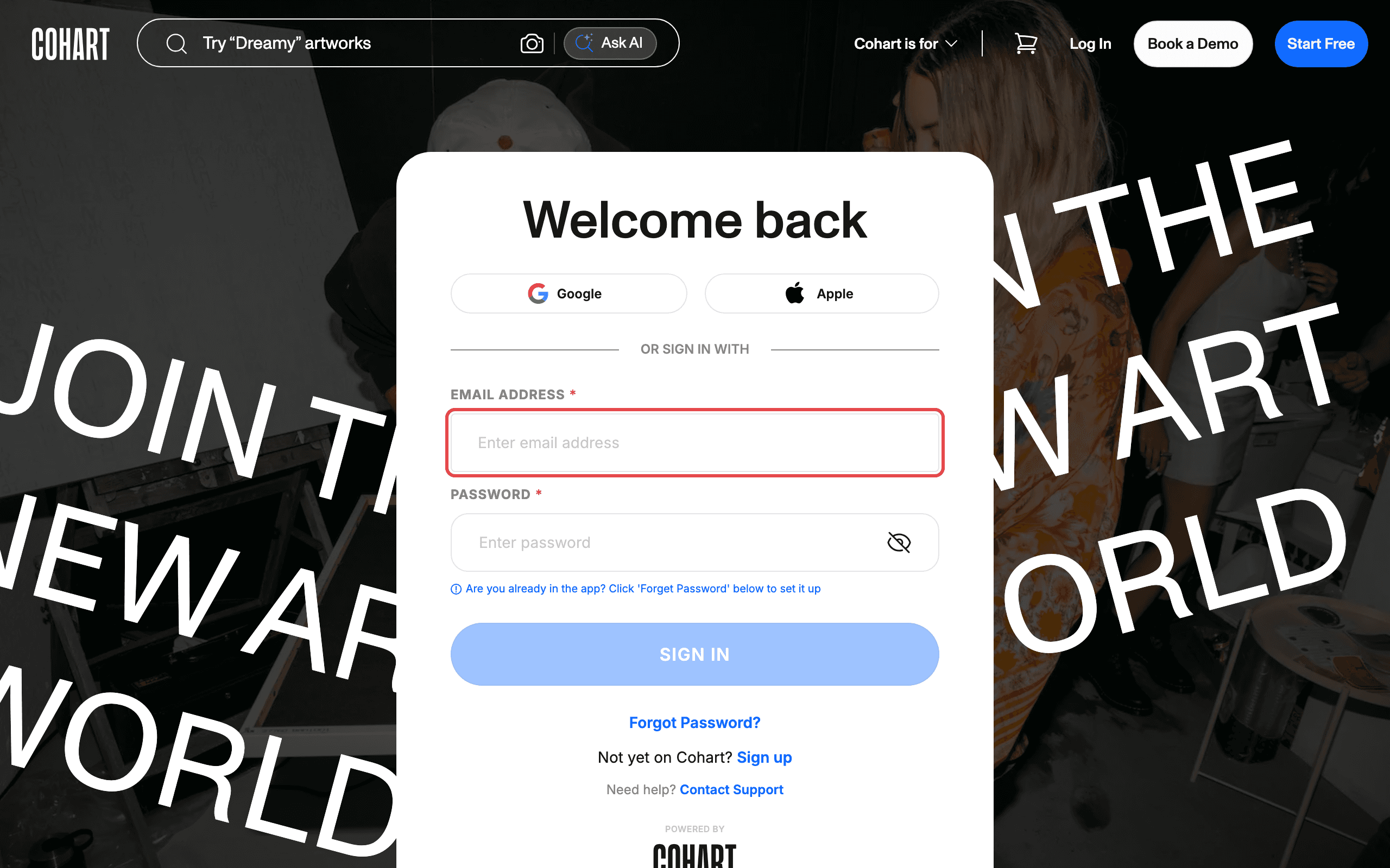 Login page with the email field highlighted