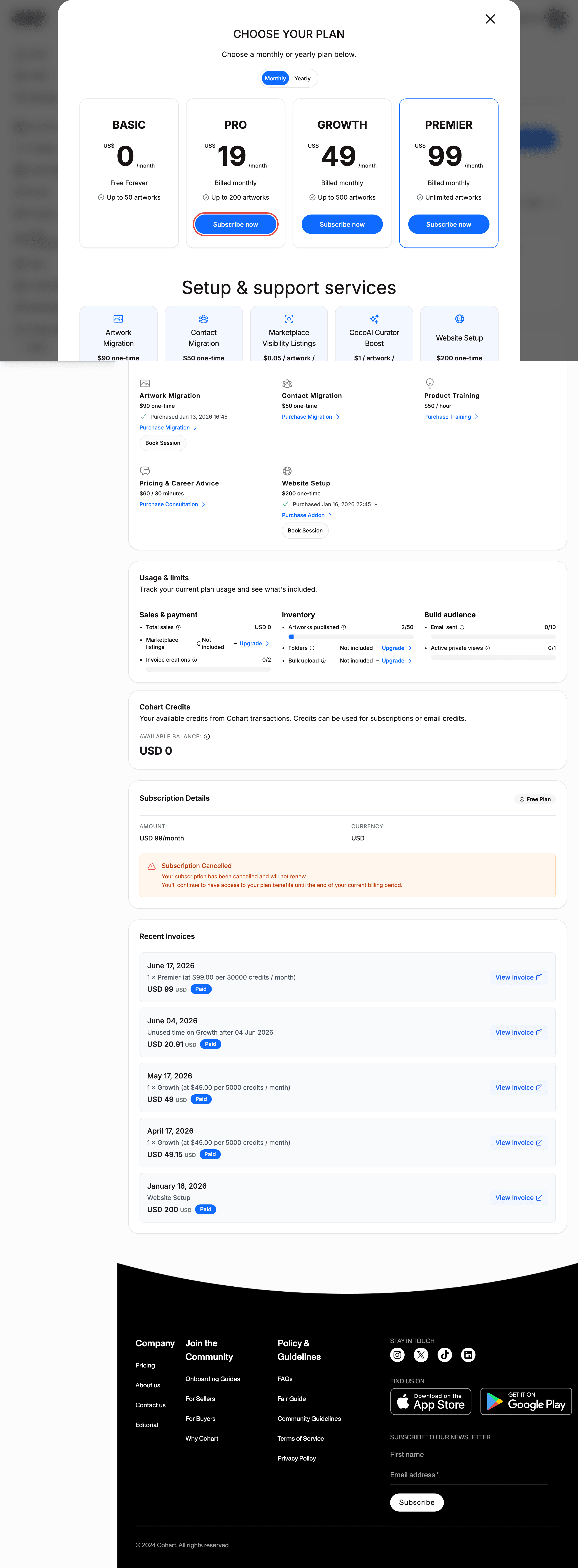 Plan chooser dialog with the Pro Subscribe now button highlighted